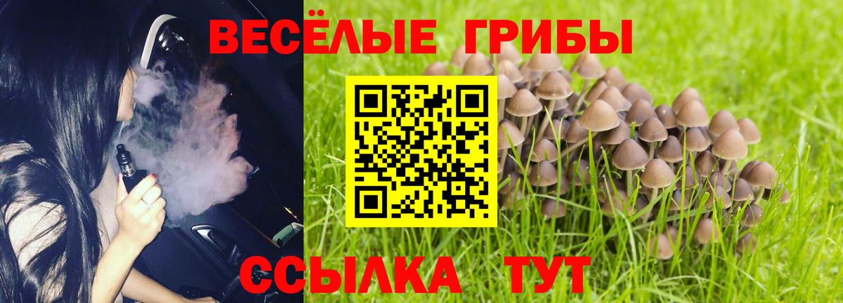 Псилоцибиновые грибы прущие грибы Королёв