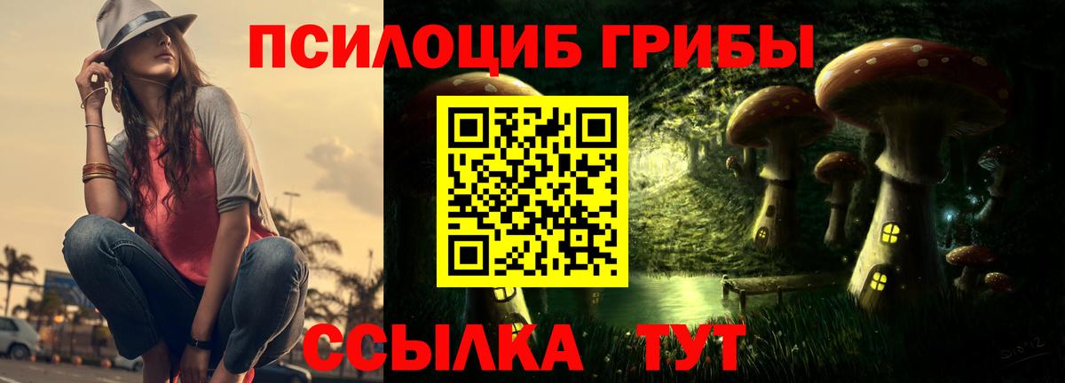 Королёв  Псилоцибиновые грибы Psilocybe  Вход с VPN 