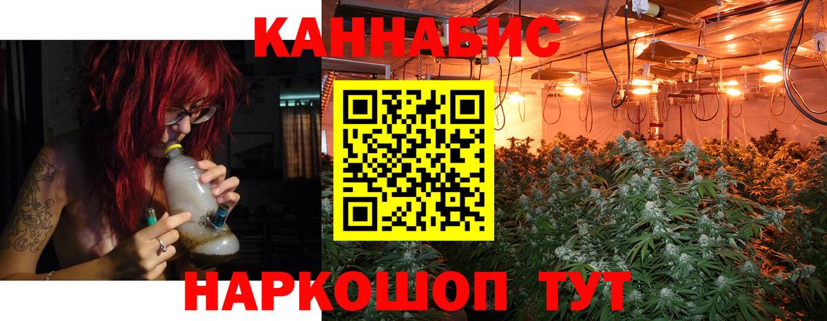 Бошки Шишки гибрид  МАРИХУАНА White Widow  МАРИХУАНА планчик  Королёв  Вход с VPN 